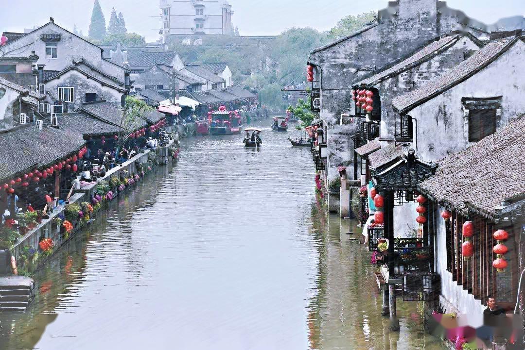 镜之边缘：催化剂
